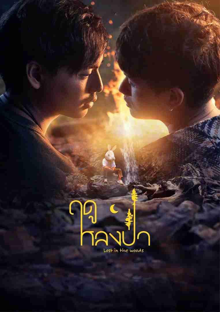 Xem phim Mùa Lạc Trong Rừng